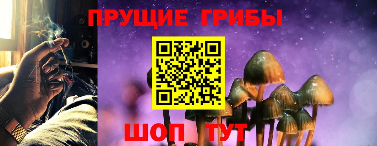 Волгодонск  Галлюциногенные грибы ЛСД  Вход с VPN 