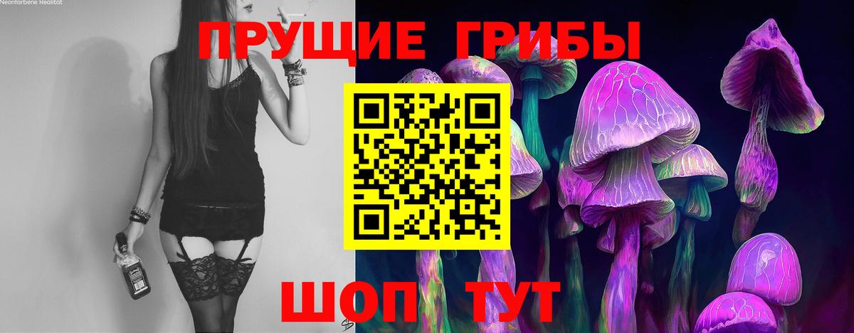 Псилоцибиновые грибы мицелий Волгодонск